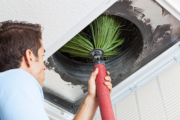 Air Duct Mold Removal in Huntsville, AL